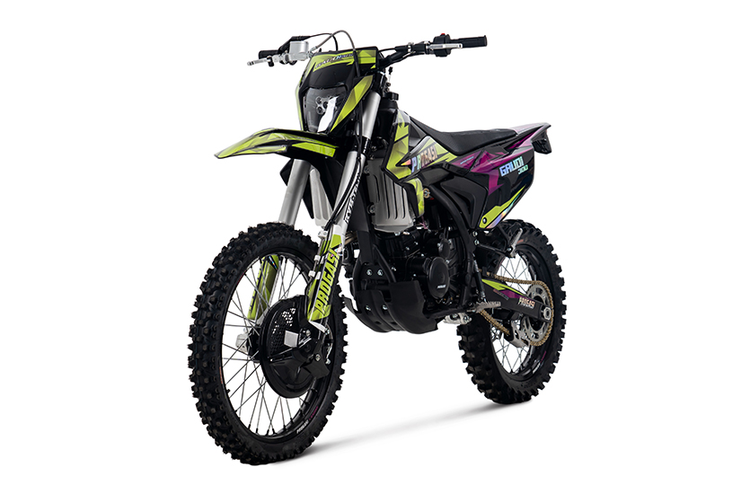 gaudi_300_purple_green_03 1